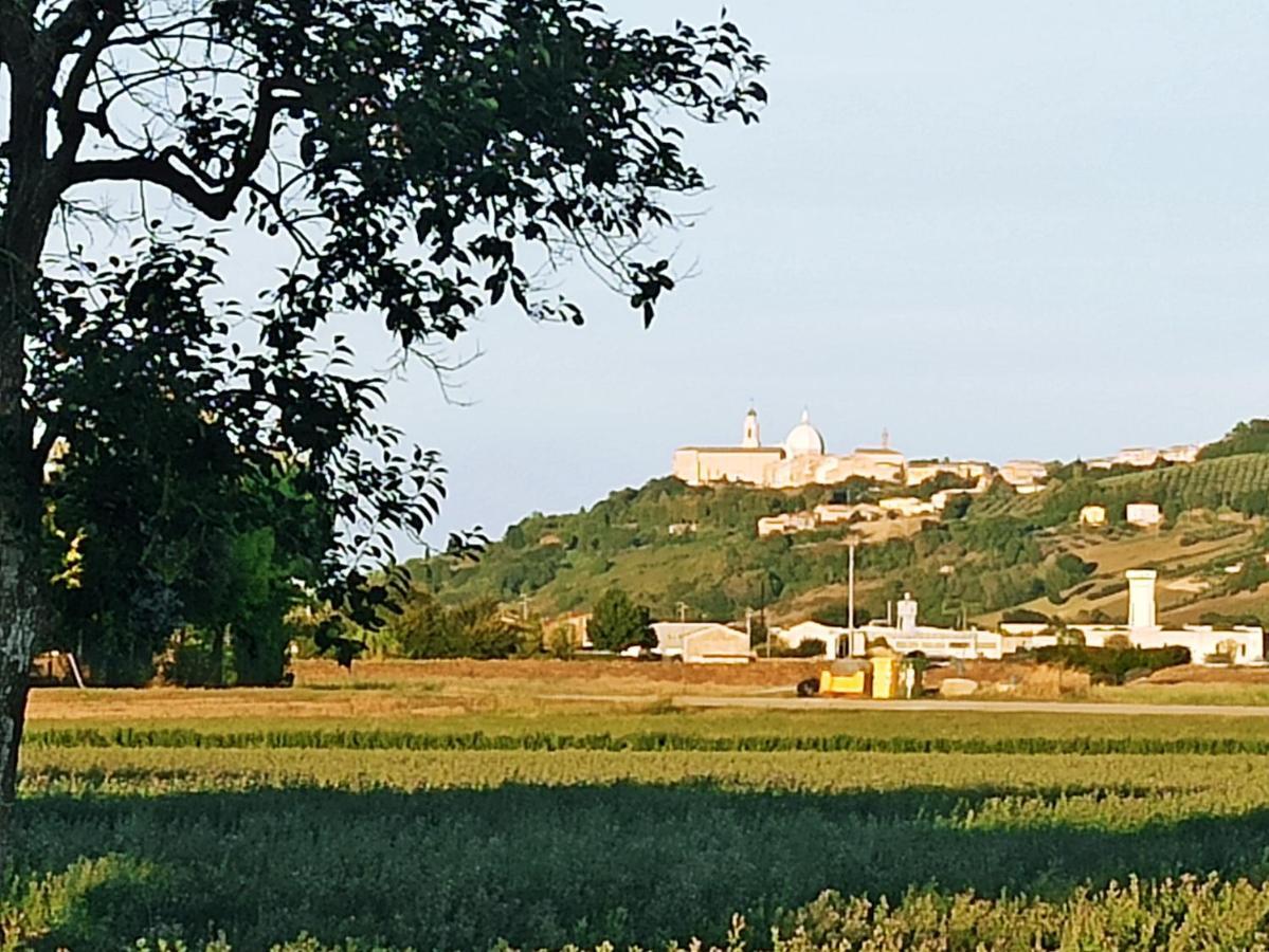 Il Cipresso Casa Saraceni Exterior foto